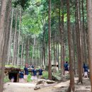 힐링우드 이미지