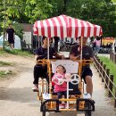 홍 순호 - 사륜자전거 - 여의도 한강공원 이미지