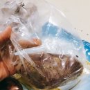 통통아이스 이미지