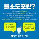 [서면] 만원으로 충치 예방하시고 +불소 무한리필 받으세요~~ 이미지