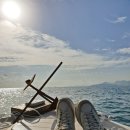 아이몽204 이미지