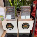 발바닥애견카페 이미지