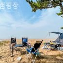 구례포해수욕장(중앙) | [태안/캠핑장/글램핑] 중앙캠핑장 자연 속에서 제대로 쉬고 온 후기
