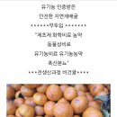 대단한 맛
