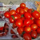 형제청과 이미지