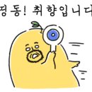 마로이 이미지