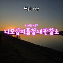 금강하구둑관광지 | 전주근교 가볼만한곳 전북 군산 금강하구둑 가창오리 군무 나포십자뜰철새관찰소