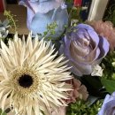 종로-종로-종로-종-256 이미지