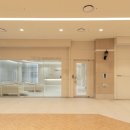 아이스킨 이미지