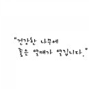 강남동산어린이집 이미지