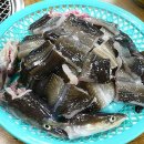 명가장어구이 이미지