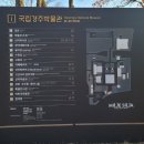 경주여행 [국립경주박물관] 필수코스 가볼만한 곳 추천!