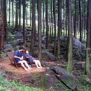 편백숲작은공간 이미지