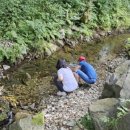 창일농장 이미지