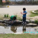 이천농촌나드리의 당일코스 농촌체험 돌아보기[이천농촌체험/이천농촌나드리/서경들마을] 이미지