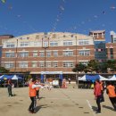 대봉초등학교 이미지