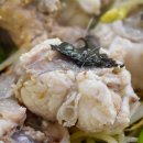 청원아구 이미지