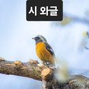 가난한 사랑 노래 / 정미형 이미지