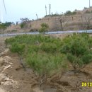 반송목장 이미지