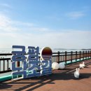 궁평항 어촌체험안내소 공중화장실 | 수도권 갯벌체험 5곳, 마시안·방아머리·백미리·선녀바위·포내 갯벌체험 (비용·준비물까지)