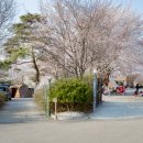 안성비봉산 캠핑장 이미지