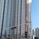 주정차단속-29 이미지