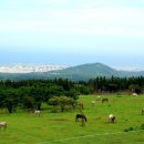 그린밸리펜션 - 강릉시 진고개로 1456 | 그린밸리펜션