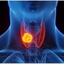 천안도솔한방병원 이미지