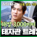 메이84