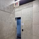 고기 | 대전 둔산동 맛집 오백돈 대전본점 제주돼지고기 후기