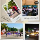 고성공룡이벤트 이미지