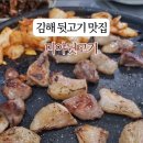 미야뒷고기
