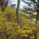 도원정형외과의원 이미지