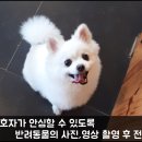 스타인호텔 이미지