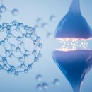 대웅바이오(주) 이미지