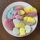 신유약국 | 짧았던 부산 여행, 12월 3주 챠 일기