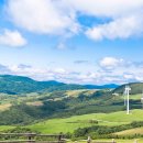 동양목장 이미지