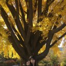 세븐일레븐 종로창성점 이미지