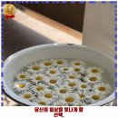 온양3동 청운로 | 온양3동 애견카페 분더카머 리뷰와 주차, 예약, 1순위 바로 이 곳입니다.
