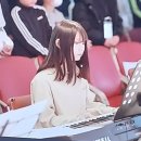 이즈뮤직페스티벌 이미지