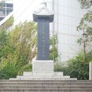 유림-17 티스토리