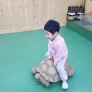 서해유치원 이미지