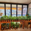 우리쌀우리김밥 이미지