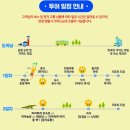 코타 키나발루 가이드맨 이미지