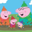 애니피그 이미지