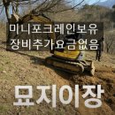 태안묘지이장.벌초