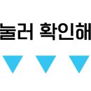 초록창문