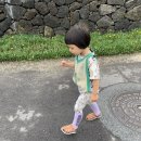 소못소랑 | 제주도 금능해변 근처숙소 소못소랑 후기, 금능해변근처맛집 밥깡패
