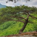 금원산자연휴양림(거창) 이미지