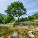 히든밸리펜션 이미지